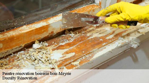 Transformez vos bois en œuvres d'art avec la peinture sur bois de Duculty Rénovation à Meyrie