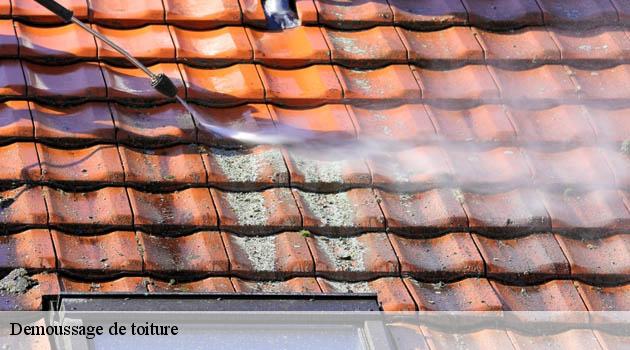 Démoussage toiture sur-mesure à Valjouffrey 38740